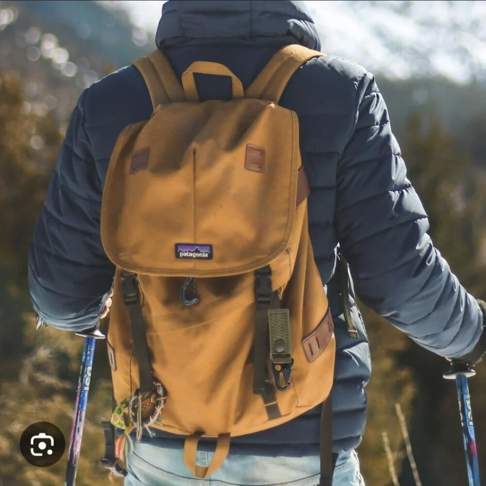 Patagonia bear brown Arbor 26L backpack